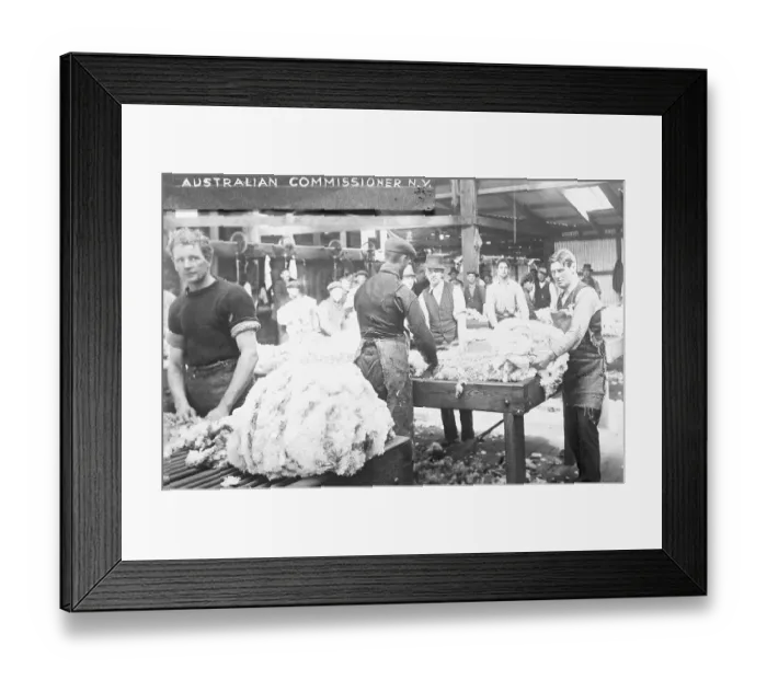 Framed Print : Australians Sorting Wool Framed Print : Australians Sorting Wool