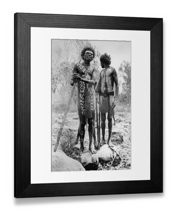 Framed Print : Two Australian Natives Posing Together Framed Print : Two Australian Natives Posing Together
