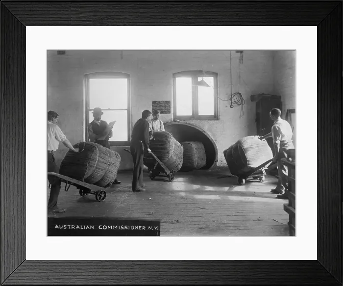Framed Print : Moving Bales of Wool Framed Print : Moving Bales of Wool
