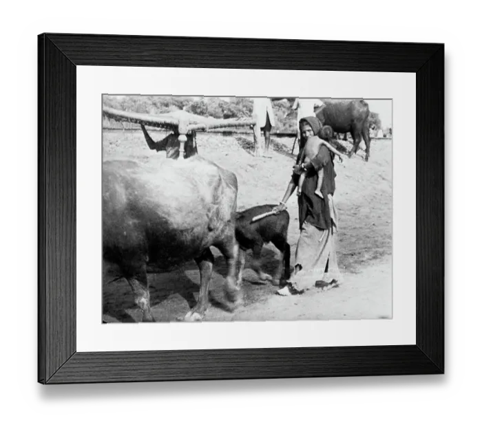 Framed Print : Refugees to Pakistan Framed Print : Refugees to Pakistan