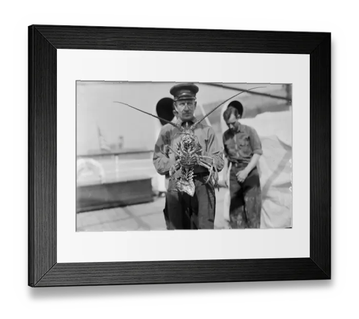 Framed Print : Man Holding Spined Lobster