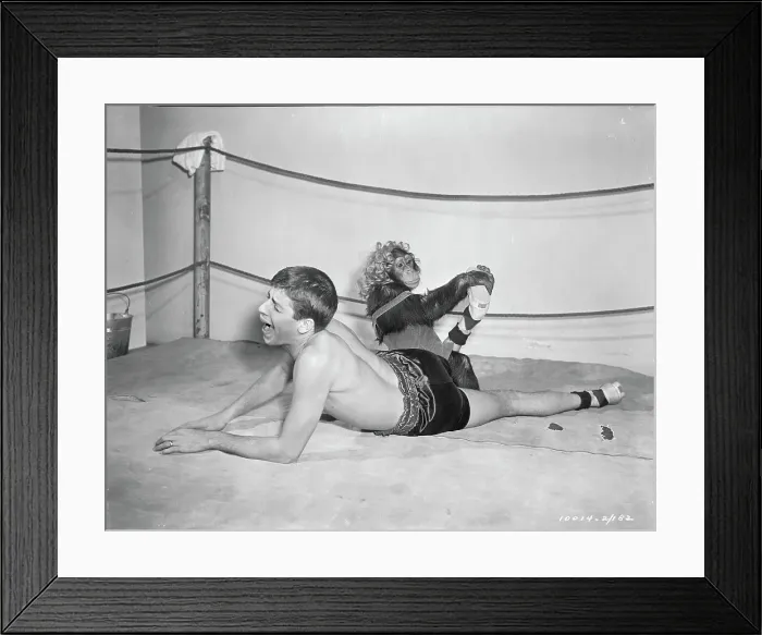 Framed Print : Jerry Lewis Getting his Foot Twisted by Pierre the Chimpanzee Framed Print : Jerry Lewis Getting his Foot Twisted by Pierre the Chimpanzee