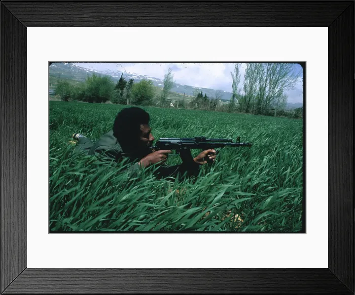 Framed Print : Palestinian Soldier in Position and Aiming with His Rifle Framed Print : Palestinian Soldier in Position and Aiming with His Rifle