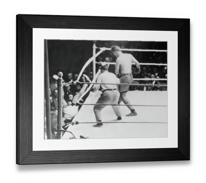 Framed Print : Jack Dempsey Falling Out of Boxing Ring