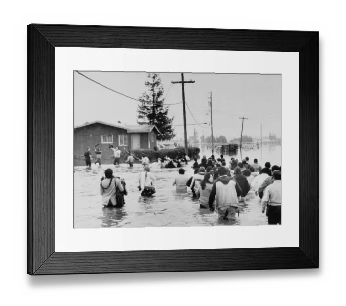 Framed Print : Residents Wade to Flooded Homes Framed Print : Residents Wade to Flooded Homes
