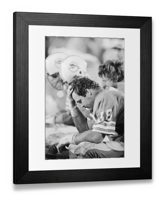 Framed Print : Miami Dolphin at Super Bowl Defeat Framed Print : Miami Dolphin at Super Bowl Defeat