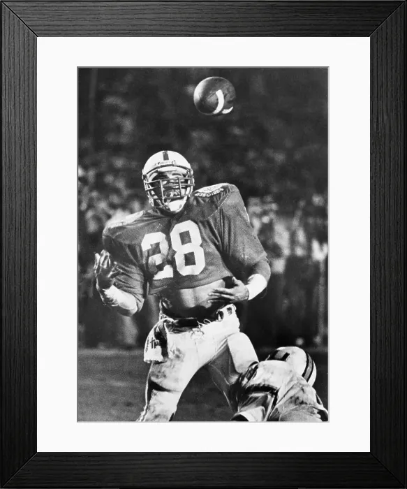 Framed Print : Jeff Smith Framed Print : Jeff Smith