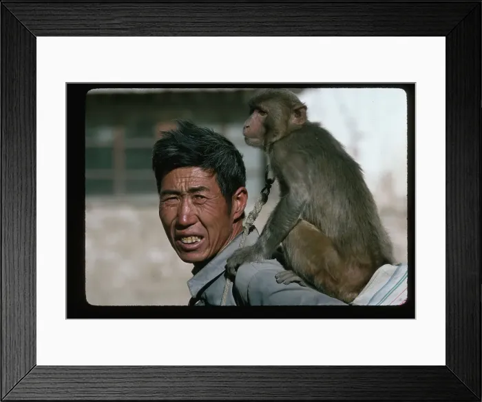 Framed Print : Man with Monkey on His Back
