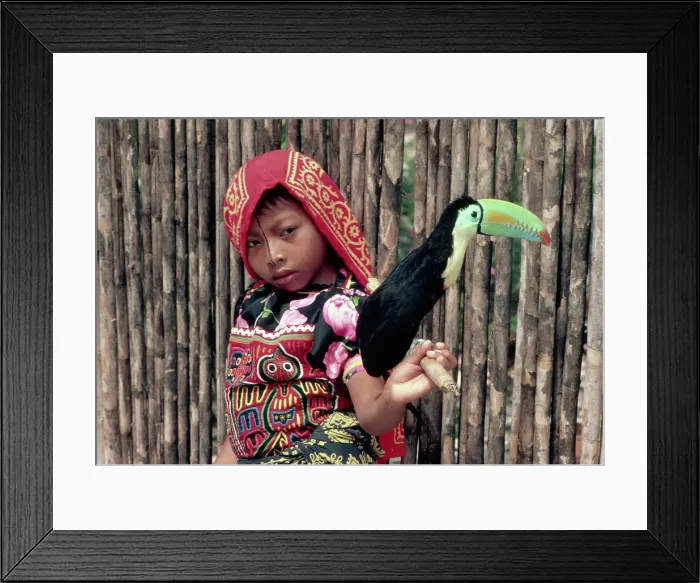 Framed Print : Cuna Girl in Traditional Dress with Toucan Framed Print : Cuna Girl in Traditional Dress with Toucan