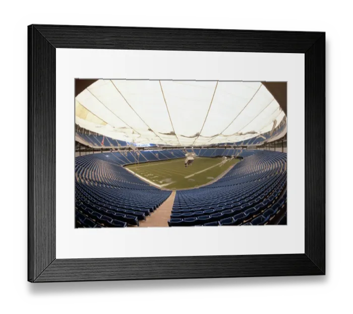 Framed Print : Inside View of Stadium Ceiling Framed Print : Inside View of Stadium Ceiling