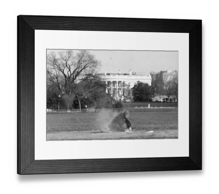 Framed Print : Jobless Man Near White House Framed Print : Jobless Man Near White House