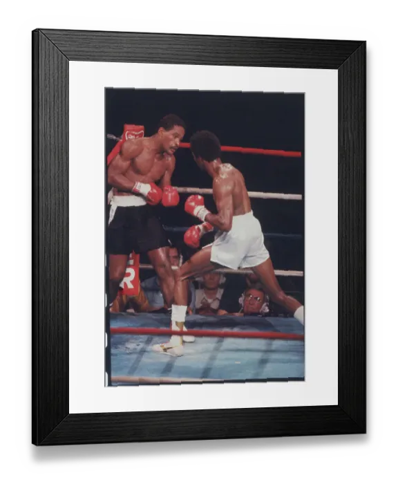 Framed Print : Tommy Hearns and Wilfred Benitez in Boxing Action Framed Print : Tommy Hearns and Wilfred Benitez in Boxing Action