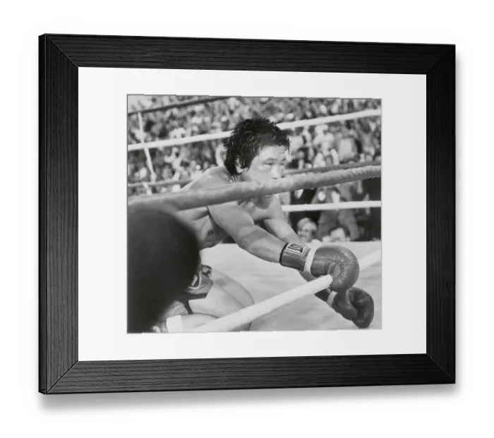 Framed Print : Boxer Deuk-Koo Kim Dropping to Canvas Framed Print : Boxer Deuk-Koo Kim Dropping to Canvas
