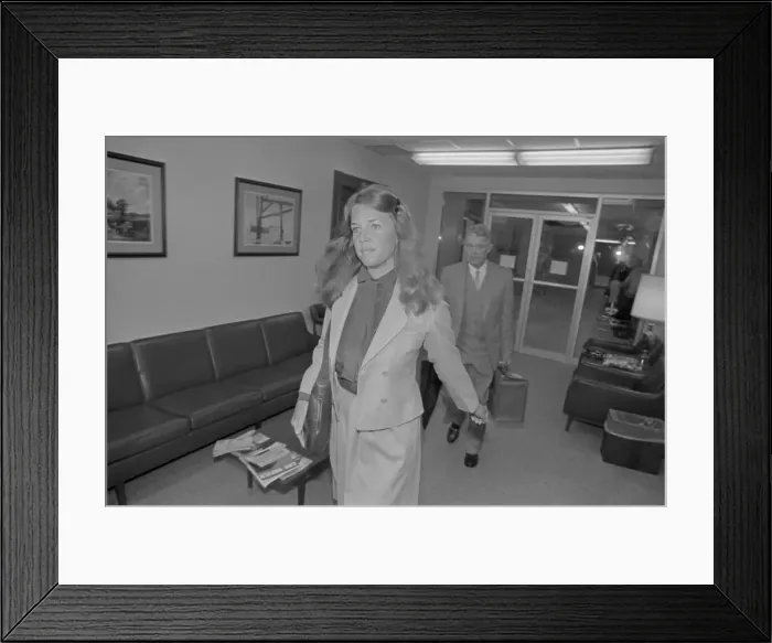 Framed Print : Pulitzer Divorce Framed Print : Pulitzer Divorce