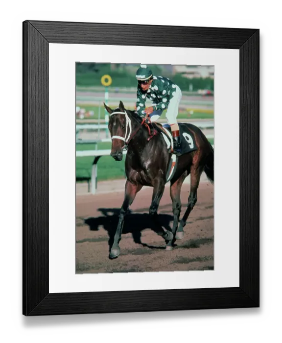 Framed Print : Jockey Lafffit Pincay Jr. Riding Horse on Track