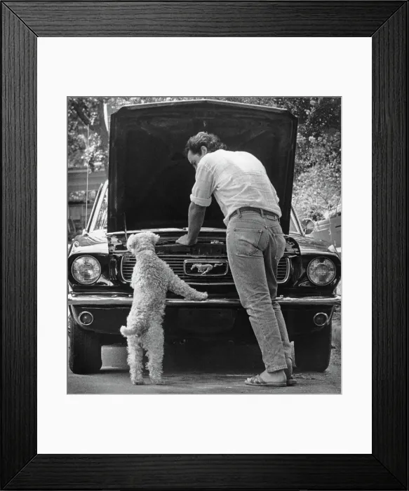 Framed Print : Team Effort Framed Print : Team Effort