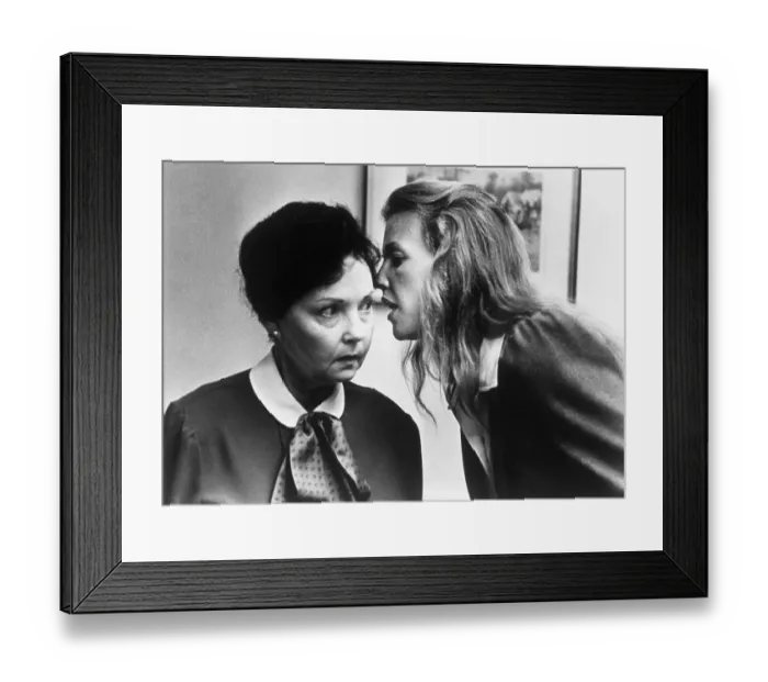 Framed Print : Pulitzer Divorce Framed Print : Pulitzer Divorce