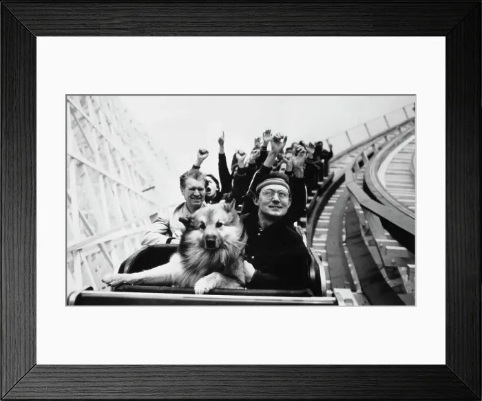 Framed Print : Rollercoaster Dog Framed Print : Rollercoaster Dog