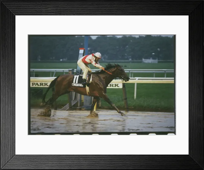 Framed Print : Laffit Pincay Jr. Riding at the Belmont Stakes Framed Print : Laffit Pincay Jr. Riding at the Belmont Stakes
