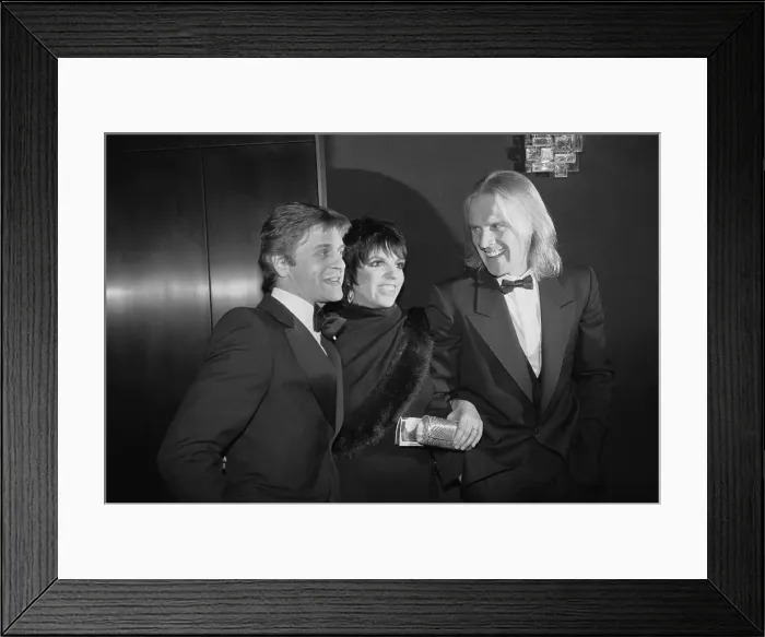 Framed Print : Liza Minnelli with Mikhail Baryshnikov and Alexander Godunov Framed Print : Liza Minnelli with Mikhail Baryshnikov and Alexander Godunov