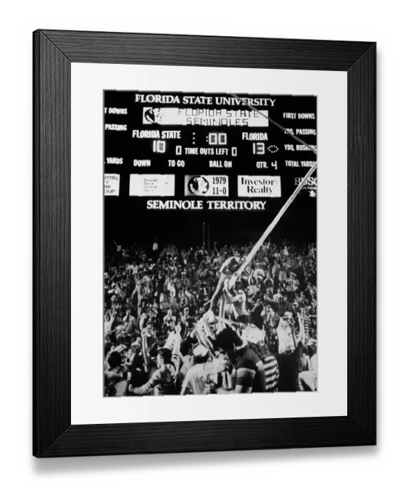 Framed Print : Gator Fans Celebrate Framed Print : Gator Fans Celebrate