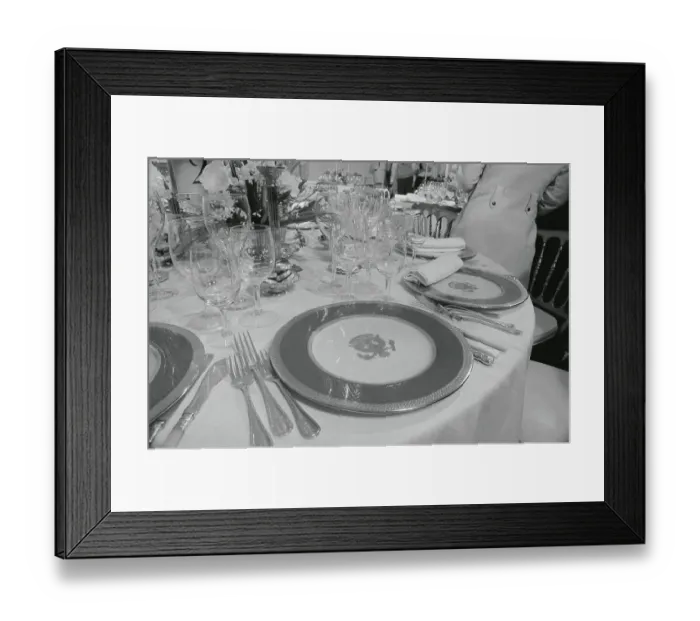 Framed Print : Presidential Chinaware Framed Print : Presidential Chinaware