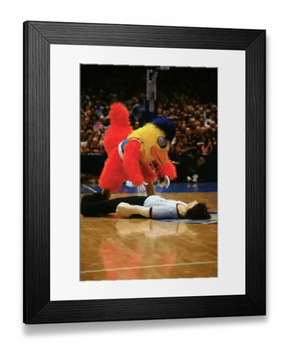 Framed Print : Big Chicken with Dummy Framed Print : Big Chicken with Dummy
