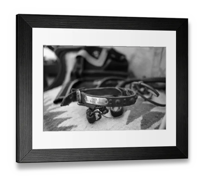 Framed Print : Dog Collar Belonging to Fala, President Franklin D. Roosevelt's Dog Framed Print : Dog Collar Belonging to Fala, President Franklin D. Roosevelt's Dog