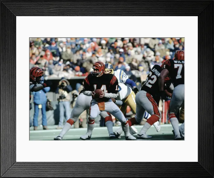 Framed Print : Ken Anderson About to Throw Football in Game Framed Print : Ken Anderson About to Throw Football in Game