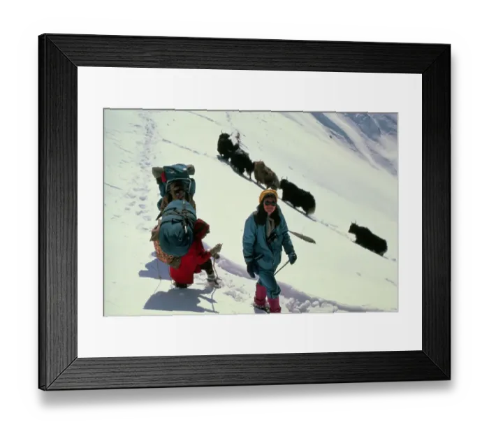 Framed Print : Arlene Blum Walking Through the Snow Framed Print : Arlene Blum Walking Through the Snow