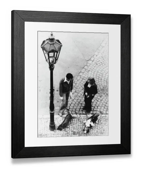 Framed Print : Dog Walkers in Prague Framed Print : Dog Walkers in Prague