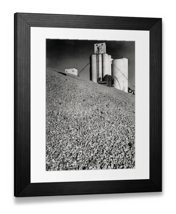 Framed Print : Surplus Corn From Iowa Harvest Framed Print : Surplus Corn From Iowa Harvest