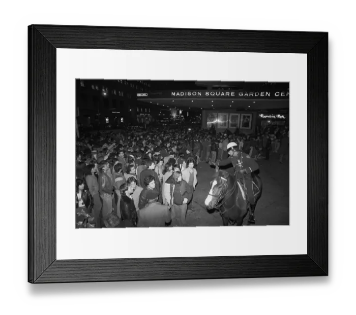 Framed Print : Stones Fans Filing Into the Garden Framed Print : Stones Fans Filing Into the Garden