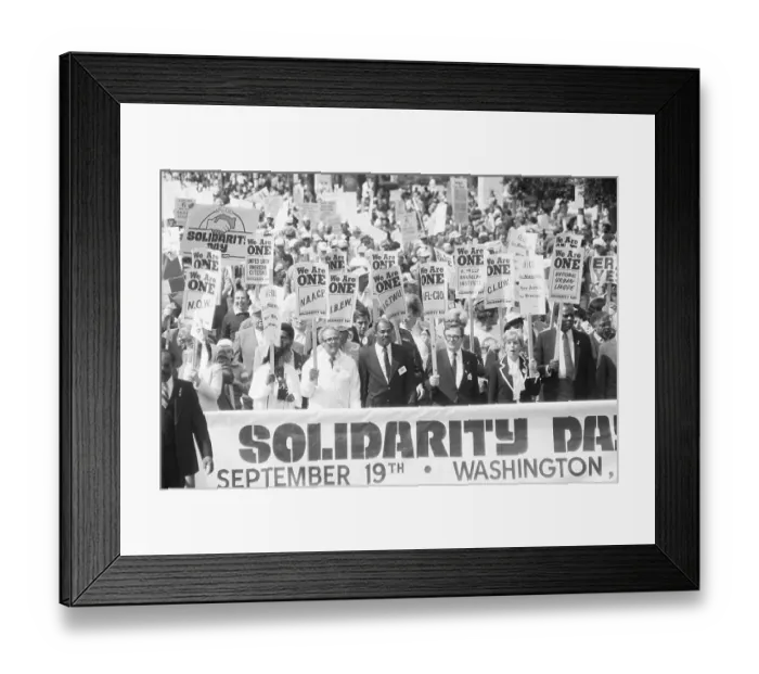 Framed Print : Solidarity Day March in Washington DC Framed Print : Solidarity Day March in Washington DC