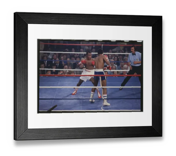 Framed Print : Boxers in the Ring Framed Print : Boxers in the Ring