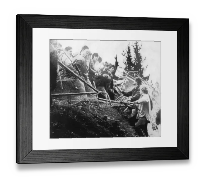 Framed Print : Anti-apartheid demonstrations Framed Print : Anti-apartheid demonstrations