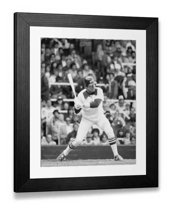 Framed Print : Carlton Fisk Batting Framed Print : Carlton Fisk Batting