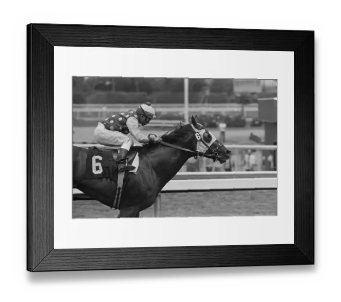 Framed Print : Shoemaker Winning Horse Race Framed Print : Shoemaker Winning Horse Race