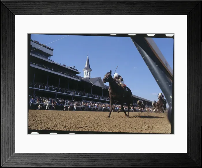Framed Print : Pleasant Colony Winning Kentucky Derby