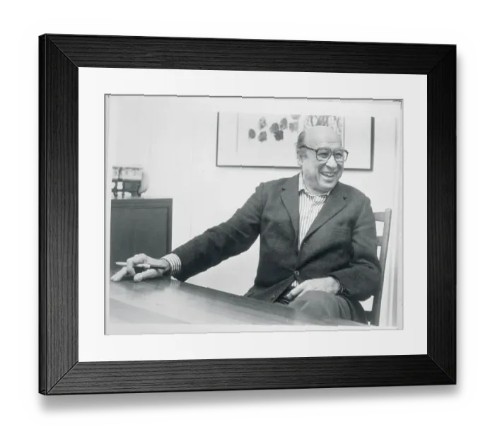 Framed Print : Photographer Harry Callahan Framed Print : Photographer Harry Callahan