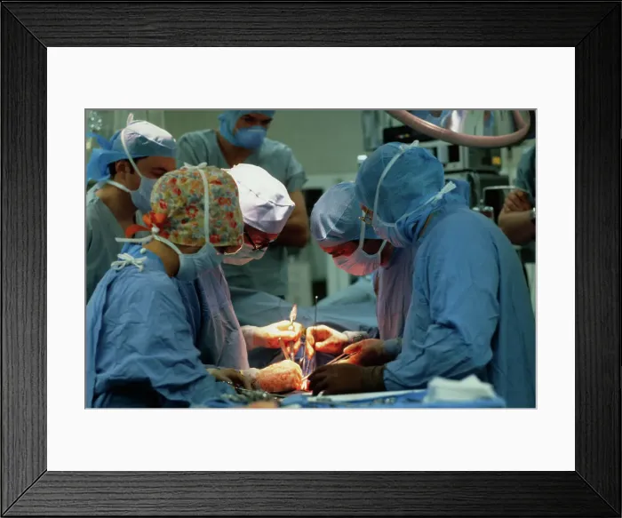 Framed Print : Doctors Performing Heart-Lung Transplant