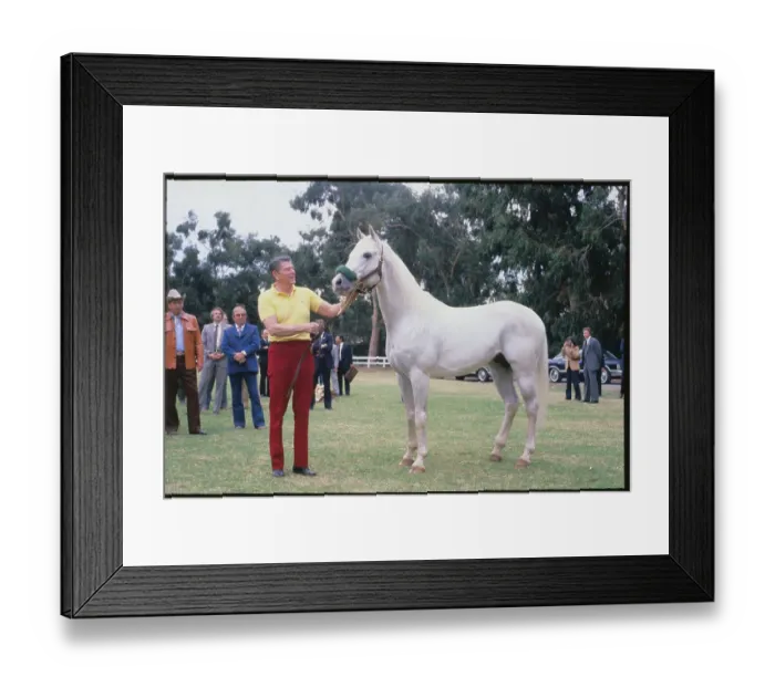 Framed Print : President Reagan Holding a Horse's Bridle Framed Print : President Reagan Holding a Horse's Bridle
