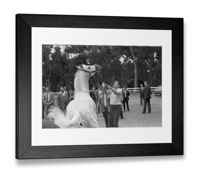 Framed Print : Reagan Handling Horse