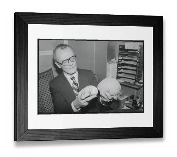 Framed Print : Doctor Holding Models of Brains Framed Print : Doctor Holding Models of Brains