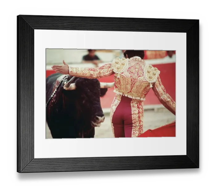 Framed Print : Toreodor with Bull Framed Print : Toreodor with Bull