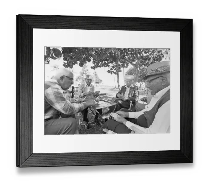Framed Print : 4 Elderly Men Play Cards Under A Tree Framed Print : 4 Elderly Men Play Cards Under A Tree