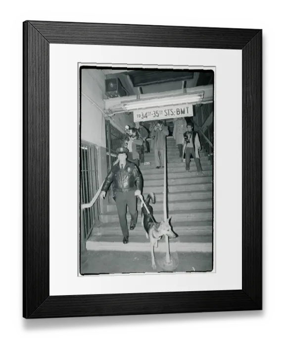 Framed Print : Transit Police Officer Ed Provenzana Framed Print : Transit Police Officer Ed Provenzana