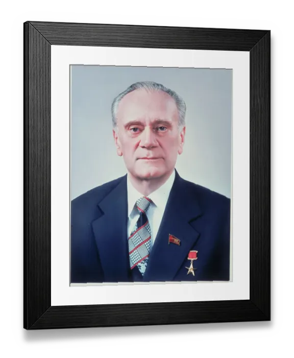 Framed Print : Nikolai Tikhonov Framed Print : Nikolai Tikhonov