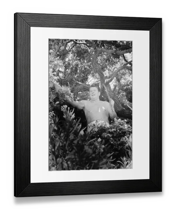 Framed Print : Ronald Reagan Pruning a Tree Framed Print : Ronald Reagan Pruning a Tree