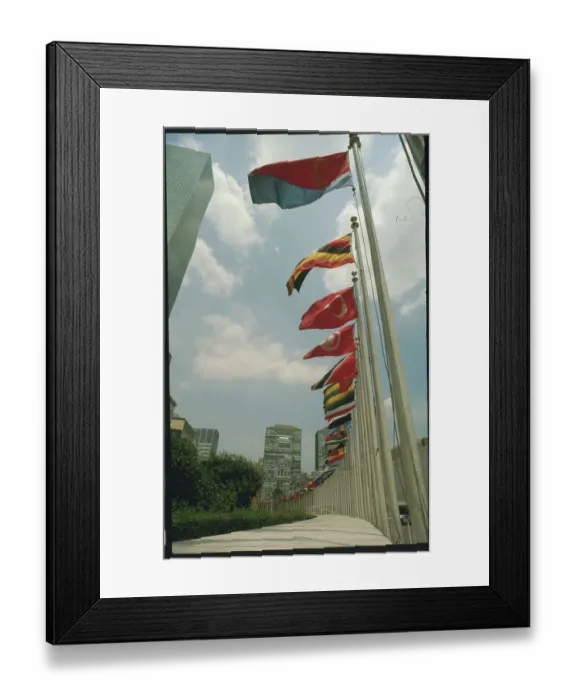 Framed Print : Flags of United Nations Framed Print : Flags of United Nations